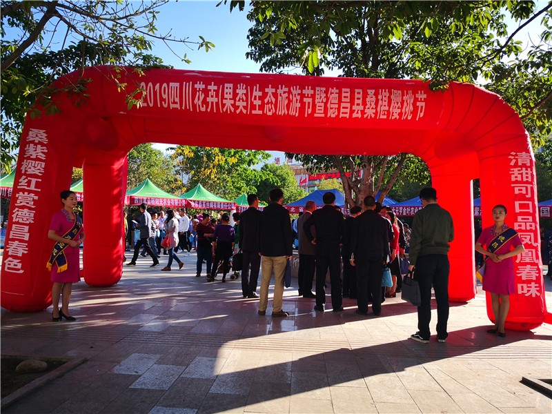 小桑果大作为 四川德昌大力发展桑蚕产业推进脱贫攻坚