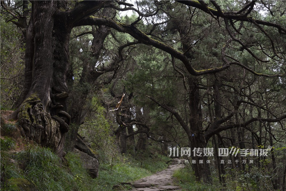 1721900456721082363.jpg 调整图片03_副本.jpg