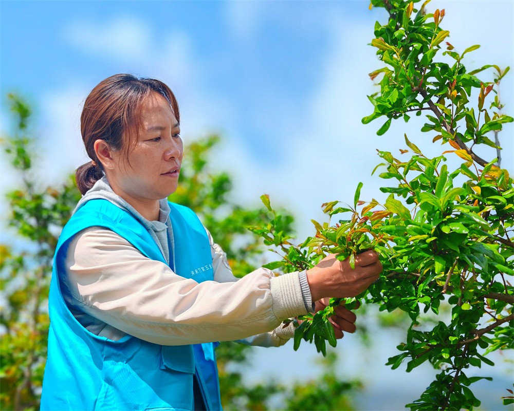 李鹏 摄 (11).jpg