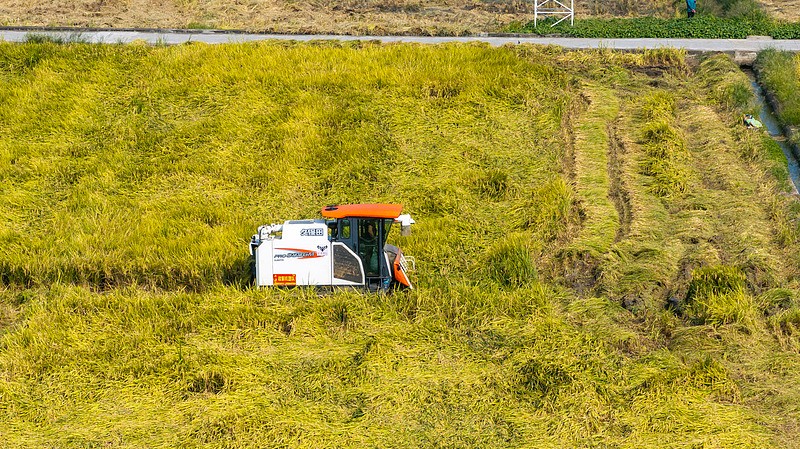 1765364946105070922.jpg VCG111516821173.jpg