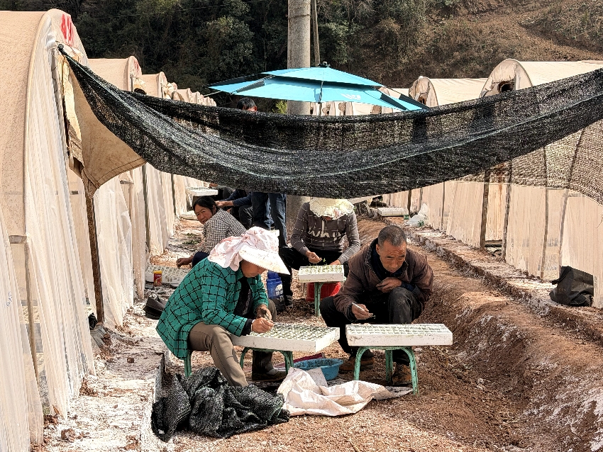 胡健 (1)_副本.jpg