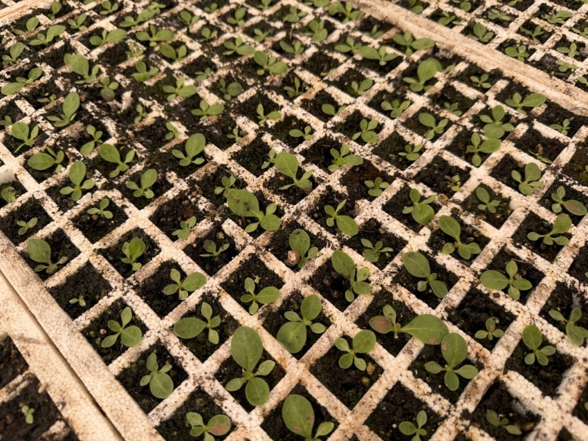 胡健 (3)_副本.jpg