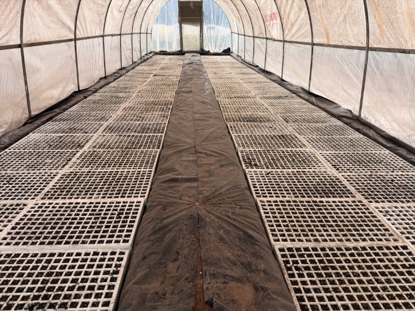 胡健 (4)_副本.jpg