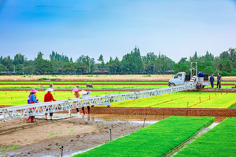 VCG111494678315.jpg